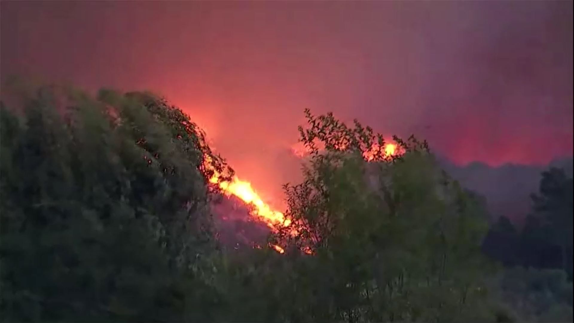 Incêndio florestal se espalha na Califórnia