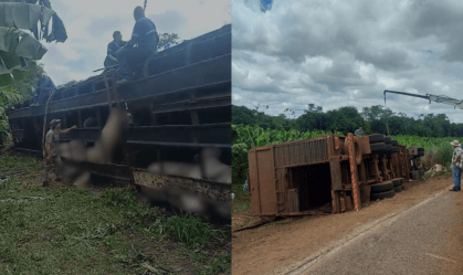 MT: Caminhão boiadeiro tomba em rodovia e 12 animais morrem