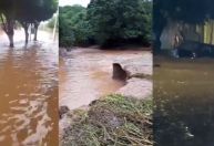 Enchente deixa mais de 1.000 desalojados em cidade no norte de Minas Gerais