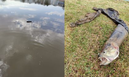 Bombeiros recebem chamado de cadáver em lago e encontram peixe preso em calça no PR