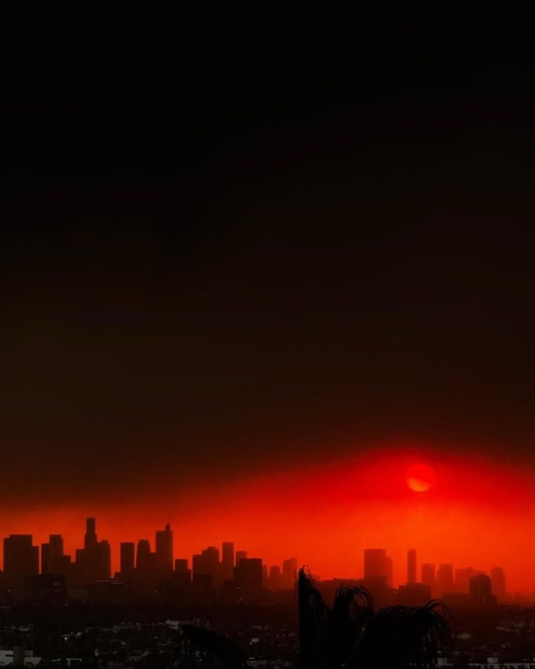 Fernanda Torres lamenta incêndio em Los Angeles, nos Estados Unidos • Instagram/Fernanda Torres