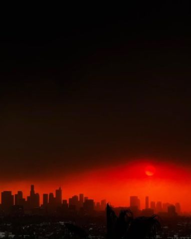 Fernanda Torres lamenta incêndio em Los Angeles, nos Estados Unidos • Instagram/Fernanda Torres