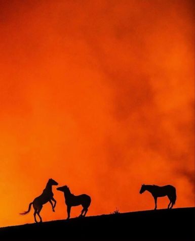 Kim Kardashian lamenta incêndios florestais em Los Angeles • Instagram/Kim Kardashian