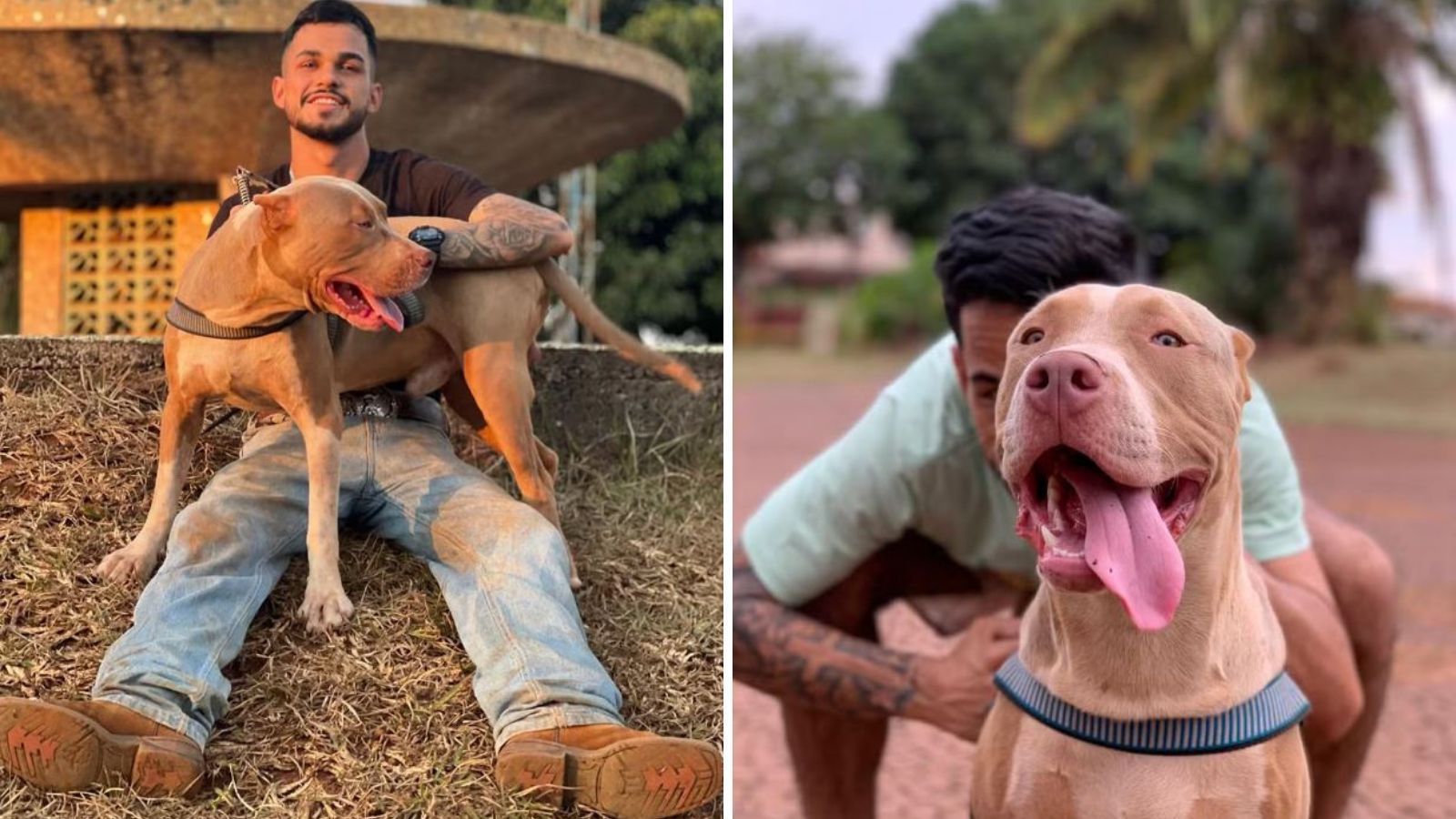 Os gêmeos João Pedro e João Gabriel têm um cachorro chamado Xerife • Reprodução/Gshow/Arquivo Pessoal