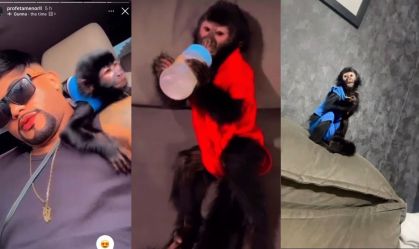 Polícia resgata filhote de macaco na casa de influenciador em SP