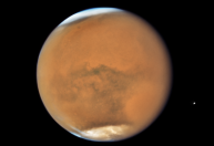 Terra e Marte estarão alinhados nesta quarta (15); entenda o fenômeno