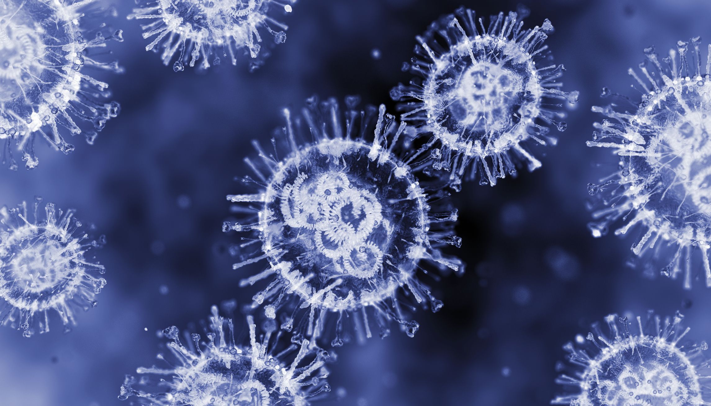 Human Metapneumovirus. Microscope Slide