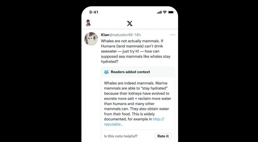 A imagem exibe uma publicação do X acompanhada por uma nota da comunidade. • Créditos: X (Twitter).