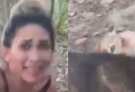 Ibama identifica e multa mulher que torturou e matou onça-parda