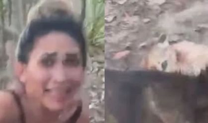 Mulher tortura e filma morte de onça-parda; Ibama tenta identificação