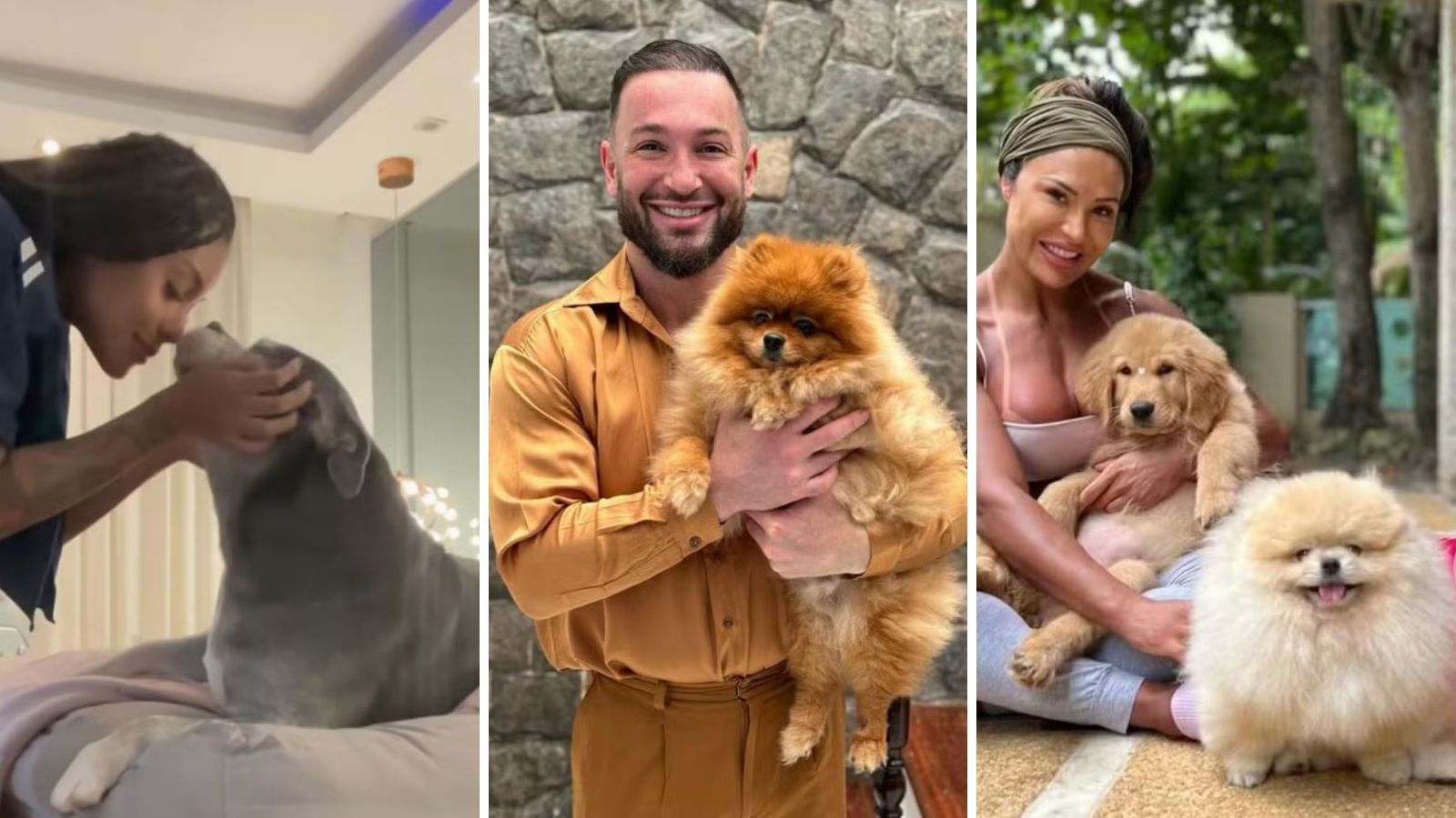 Kirinha, Mufasa e mais: conheça os pets dos participantes do BBB