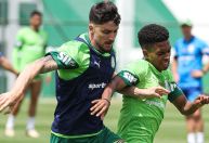 Com volta de "time invicto", Palmeiras recebe o Bragantino no Allianz