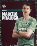 Marcelo Pitaluga