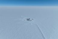 Como um 'mini-camarão' se tornou ponto chave para o futuro da Antártica