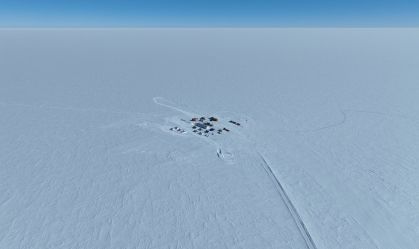 Como um 'mini-camarão' se tornou ponto chave para o futuro da Antártica