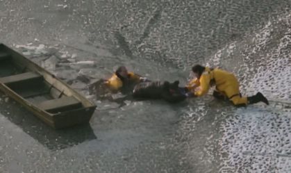 Vídeo: Cachorro e dono são resgatados após caírem em lago congelado nos EUA