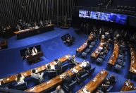 "Mãe das boiadas": ala ambientalista no Senado ataca projeto de lei