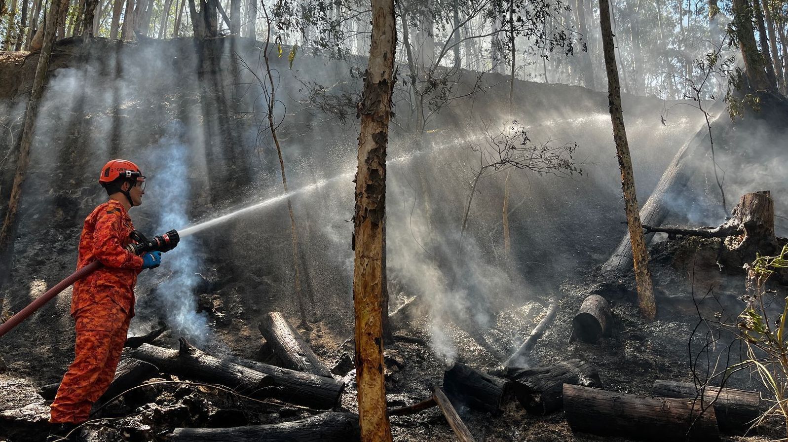 Bombeiros combatem mais de 300 focos de incêndio em meio à onda de calor no Rio