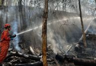 Calor: Bombeiros combatem mais de 300 incêndios florestais no RJ