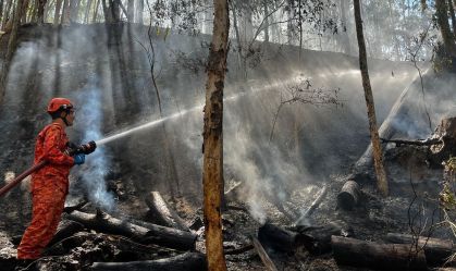 Calor: Bombeiros combatem mais de 300 incêndios florestais no RJ