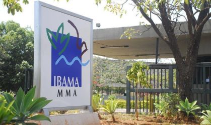 Análise: licença do Ibama mina esforço de negociadores na COP30