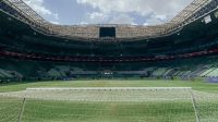Palmeiras x Mirassol: horário e onde assistir ao jogo do Brasileirão