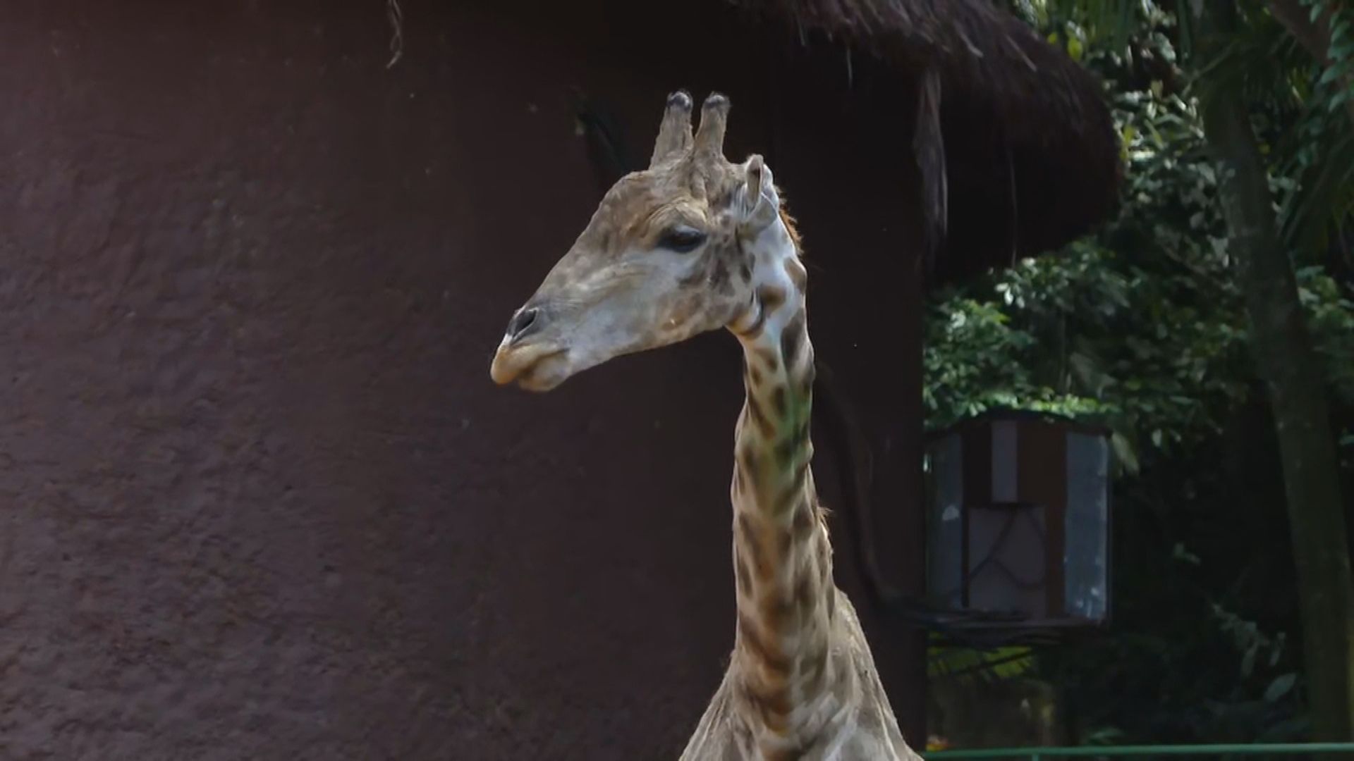 BR_CNN_120225_LIVE_CLEAN_frame_108098