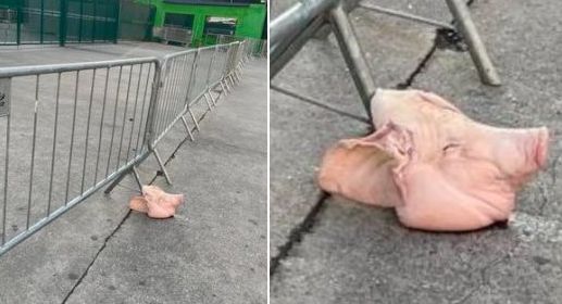 Cabeça de porco é encontrada no Allianz Parque