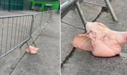 Torcedor é detido por arremesso de cabeça de porco em clássico de SP
