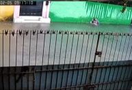 Mulher sobrevive após ficar submersa por 3 minutos em enchente: "Milagre"