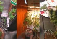 Mãe e filho são presos em flagrante por tráfico de drogas no RJ