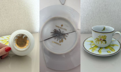 Polêmica Tânia Bulhões