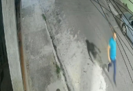 SP: Vídeo mostra PM que matou jovem no metrô atirando em homem após briga