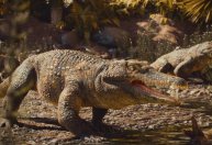 Fóssil de 237 milhões de anos, anterior aos dinossauros, é achado no Brasil