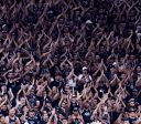 Presidente da Gaviões da Fiel protesta: "Elenco de covardes"