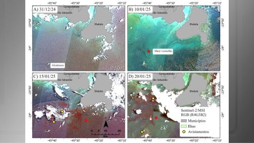 Satélite mostra movimentação da chamada "maré vermelha" no litoral norte de São Paulo