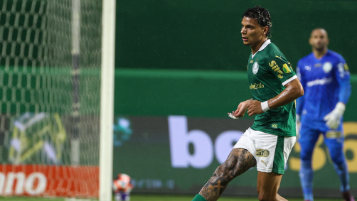 Palmeiras busca recuperação após dois jogos sem vitória