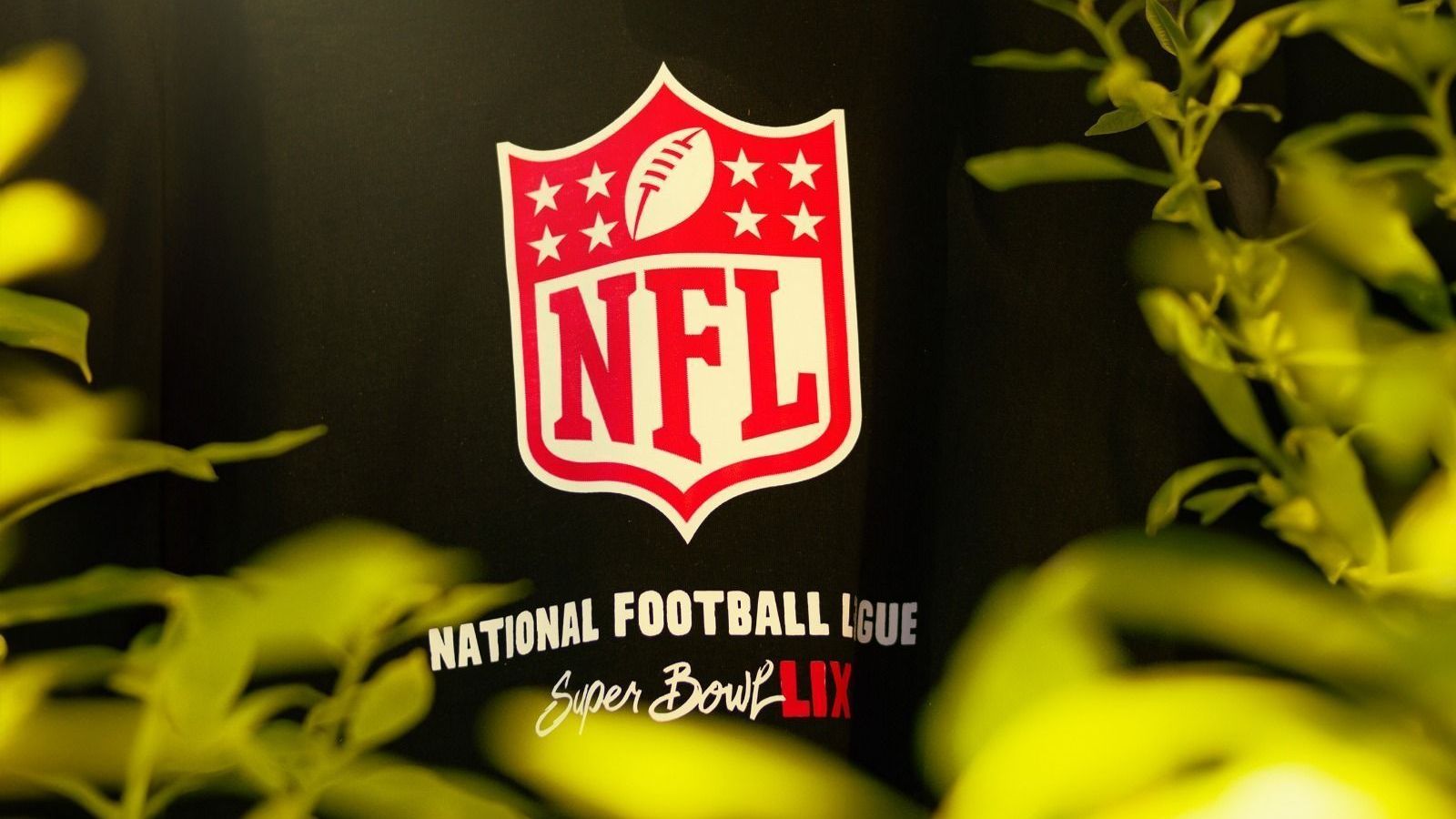 Produtos Super Bowl