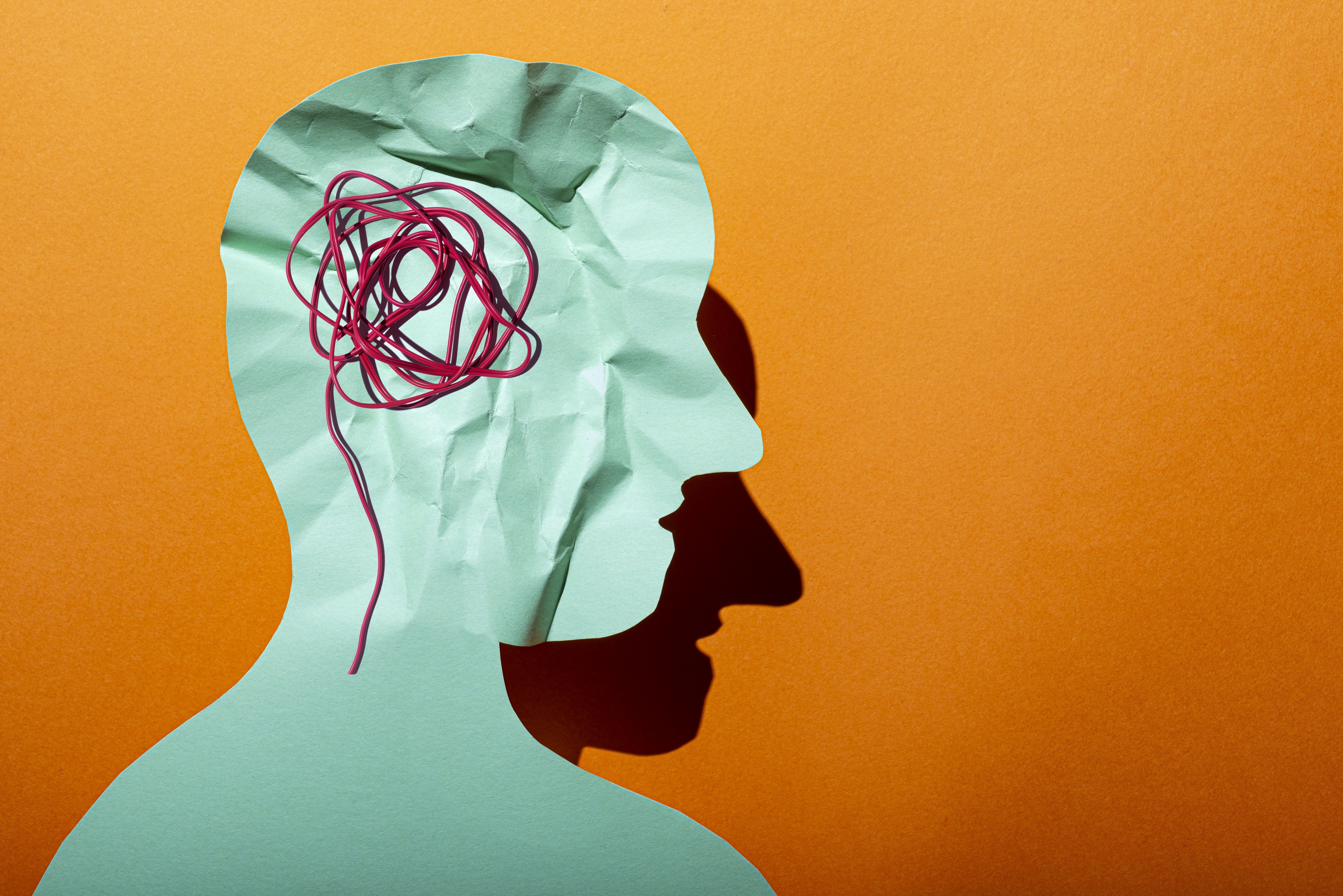 Conceptual Neurodiversity