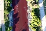 Rio da Argentina fica vermelho "sangue" e assusta moradores