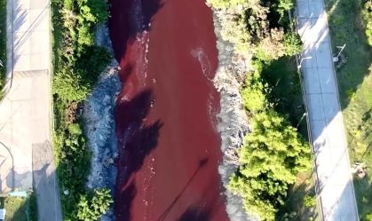 Rio da Argentina fica vermelho "sangue" e assusta moradores