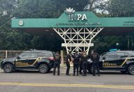 PF cumpre mandados para combater incêndio florestal no Amazonas