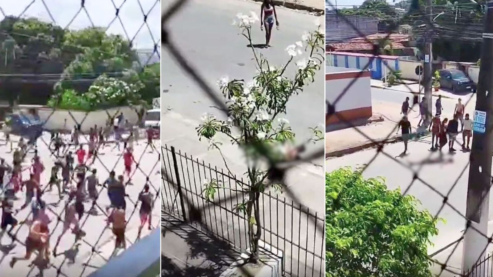 Briga Bloco Virgens de Olinda