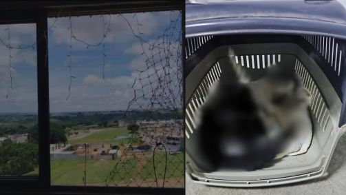 A Operação Felicide foi deflagrada na última sexta-feira (21)