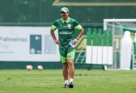 Treino do Palmeiras é alterado por queda de avião em São Paulo