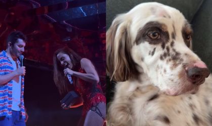 anitta coleira charlie