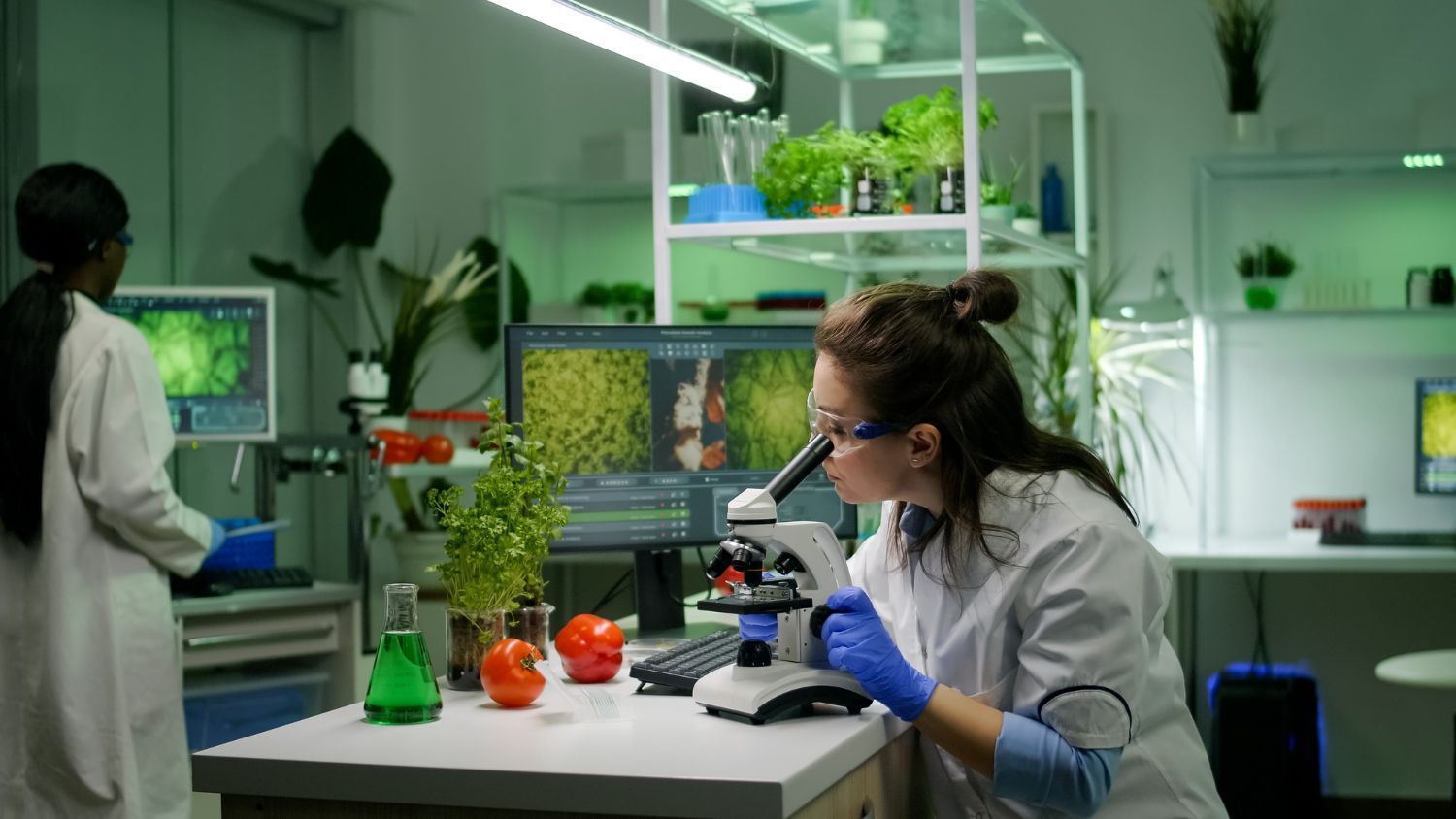 biotecnologia