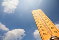 Sabe como se precaver da onda de calor? Teste seus conhecimentos
