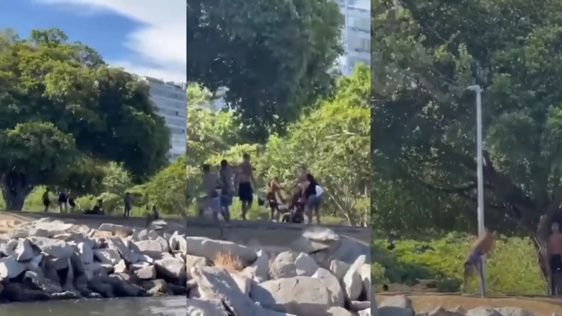 Vídeo: Jovens derrubam mulher no chão para roubar bicicleta elétrica no RJ