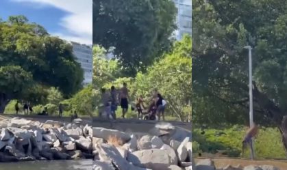 Vídeo: Grupo desiste de assalto no Rio após testemunhas começarem a gravar